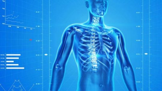 Organoizii, versiuni milimetrice ale organelor umane fabricate în laborator