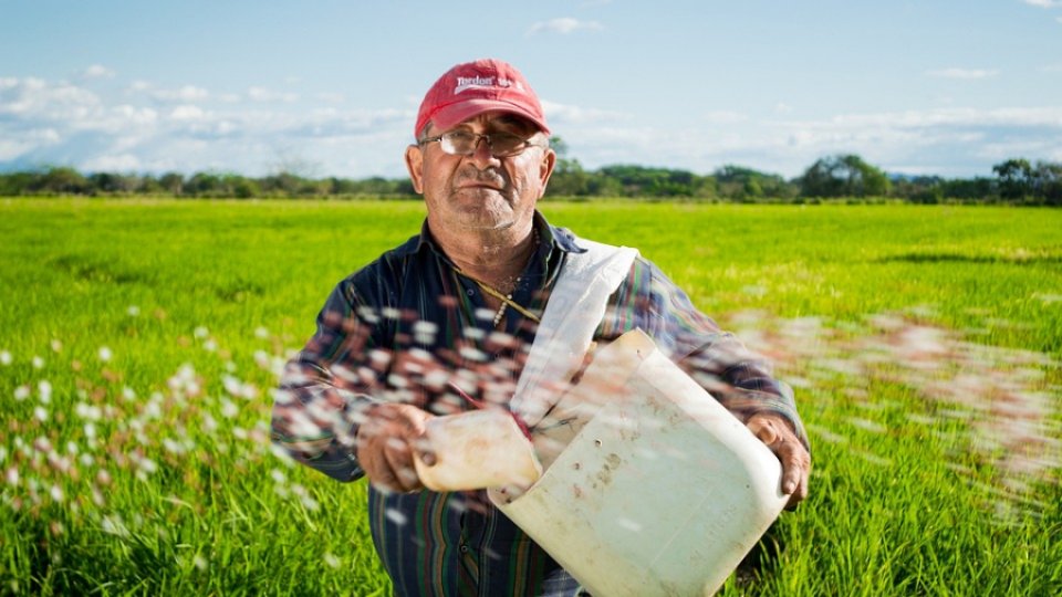 Practicile agricole și mediul global