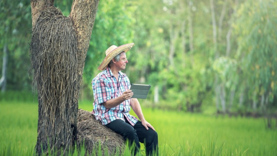 De ce standardele sunt esențiale în era digitală, inclusiv în agricultură și în sectorul alimentar?