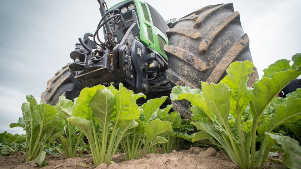 Conservarea solului agricol: 3 reguli de urmat