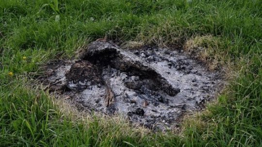 Persoanele care ard resturi vegetale în propria gospodărie vor fi amendate