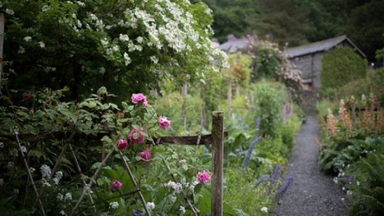 Arta florală - Cum să ai grijă de natură și de mediul înconjurător