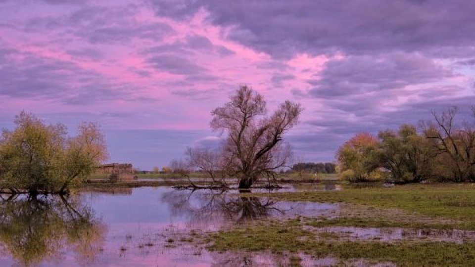 Atenţionare: Vârful viiturii de pe Bega, în zona Balinţ, va fi atins luni seară