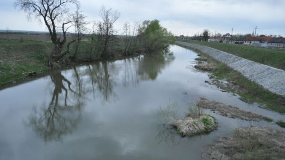 Riscul de inundaţii de pe râul Bega s-a diminuat, cotele de inundaţie sunt depăşite la staţiile Balinţ şi Chizătău