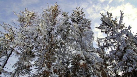 Valul de frig a ajuns şi în Sălaj
