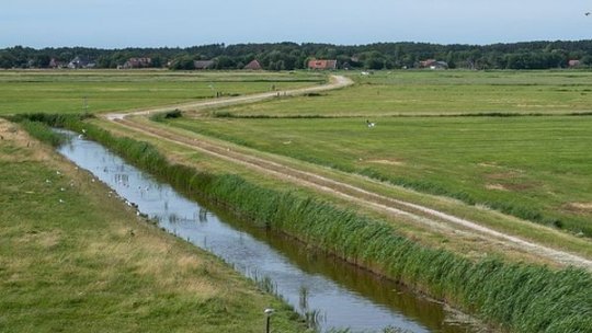 Autorităţile locale, obligate să întreţină şanţurile, podeţele, trotuarele pe sectoarele de drumuri publice din localităţile rurale
