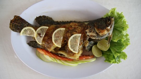 Pește prăjit cu usturoi și ierburi