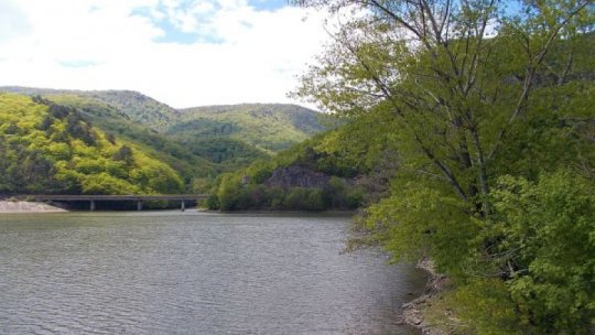 Evenimente dedicate aniversării Zilei Olteniei