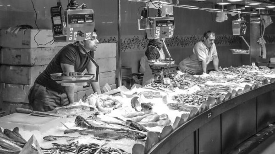 Mai mult de jumătate din bugetele gospodăriilor au fost alocate pentru locuinţă, alimente şi transport