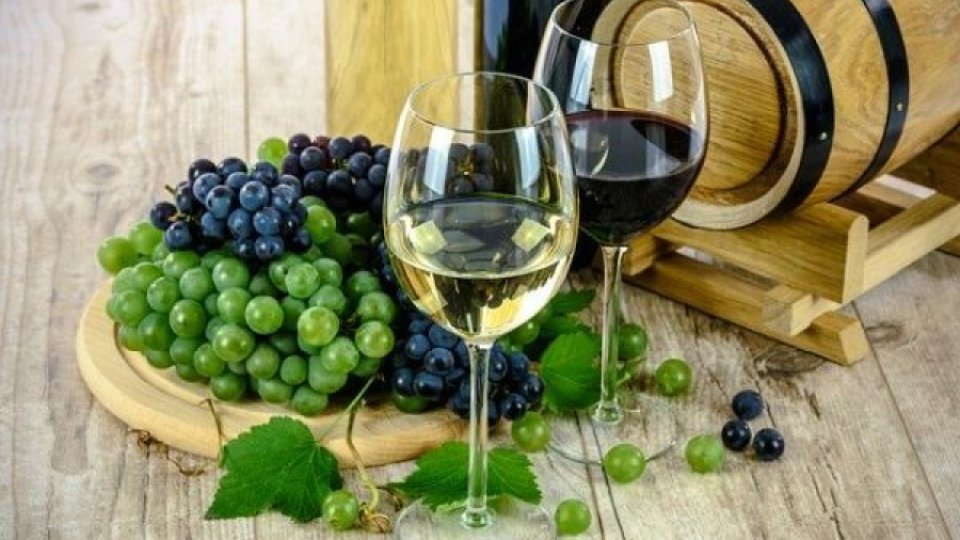 Prima ediție a concursului "Cel mai bun viticultor din România"