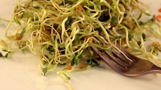 Kwati/ Mâncare de fasole nepaleză