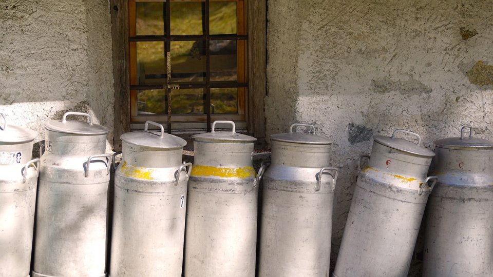 Premierul cere măsuri pentru reducerea preţului laptelui. Vor fi acordate ajutoare financiare pentru susţinerea fermierilor