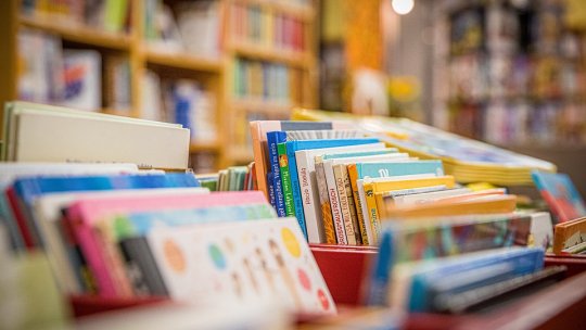 Bibliotecile din comunele doljene Ciupercenii Noi, Cernăteşti şi Vela vor beneficia de lucrări de renovare şi modernizare