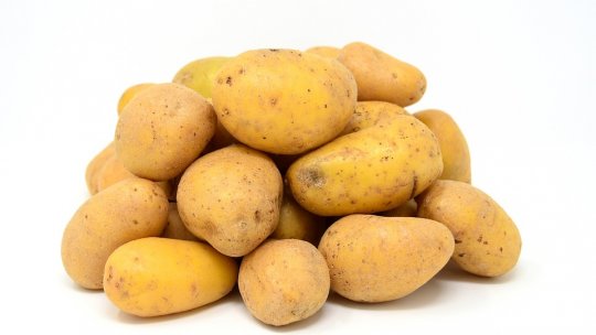 Ați stocat vreodată cartofi în frigider, în compartimentul destinat legumelor? De ce nu e bine să faceți asta