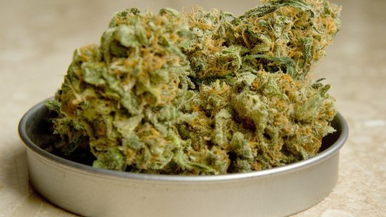 Peste două kilograme de droguri de mare risc, descoperite în urma unei percheziţii în Mamaia Nord