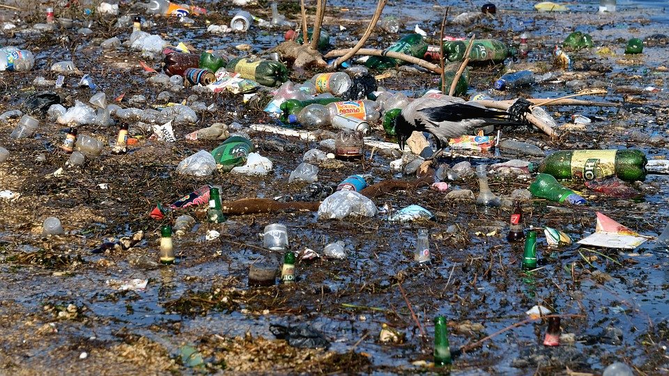 Deşeurile din plastic - un pericol real pentru apele noastre şi pentru biodiversitatea acvatică