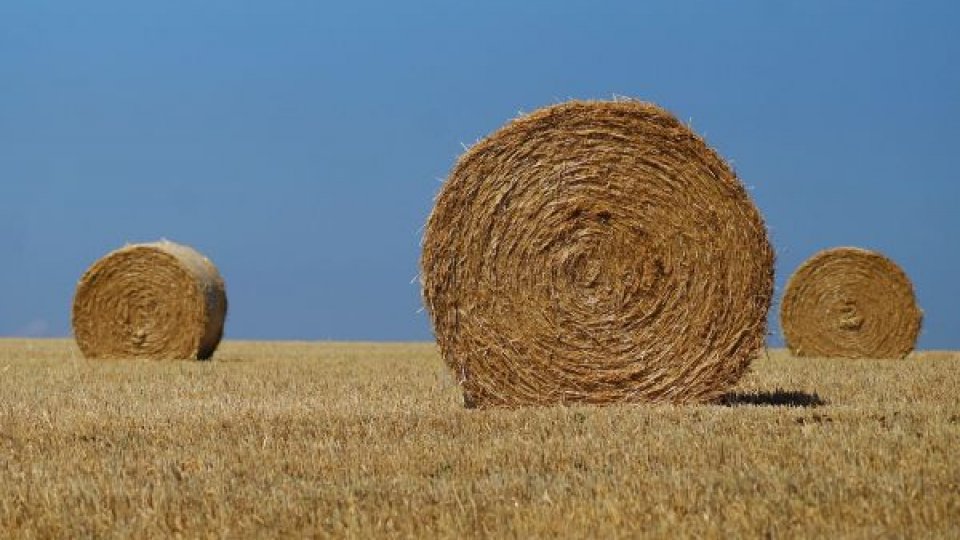 8.500 de fermieri harghiteni au depus cereri pentru subvenţie la APIA