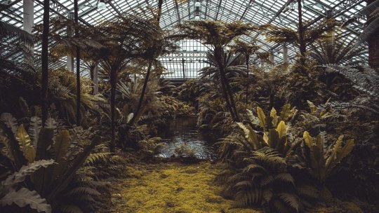 Peste 22.000 de elevi au vizitat Grădina Botanică din Bucureşti în 'Săptămâna verde'