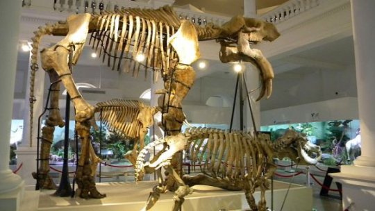 Intrare gratuită, ateliere de creaţie, desene pe asfalt, poveşti despre exploratori - de 1 Iunie, la Antipa