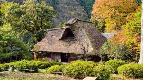 Mediul rural devine tot mai căutat de cei care își doresc o viață liniștită