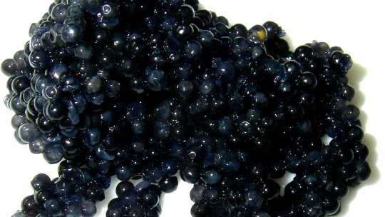 Percheziţii la braconieri - 30 de kilograme de sturion, icre negre şi scule de pescuit descoperite de poliţişti