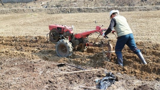 La Ocna Şugatag are loc Festivalul Tânjaua de pe Mara