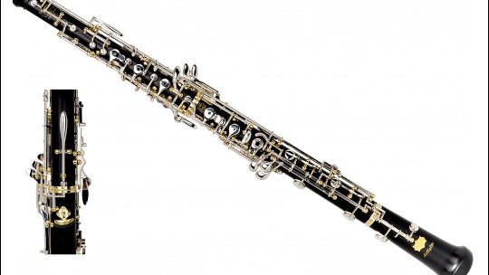 Un talentat elev care provine dintr-o familie cu 14 copii, premiat la concursurile de interpretare la oboi