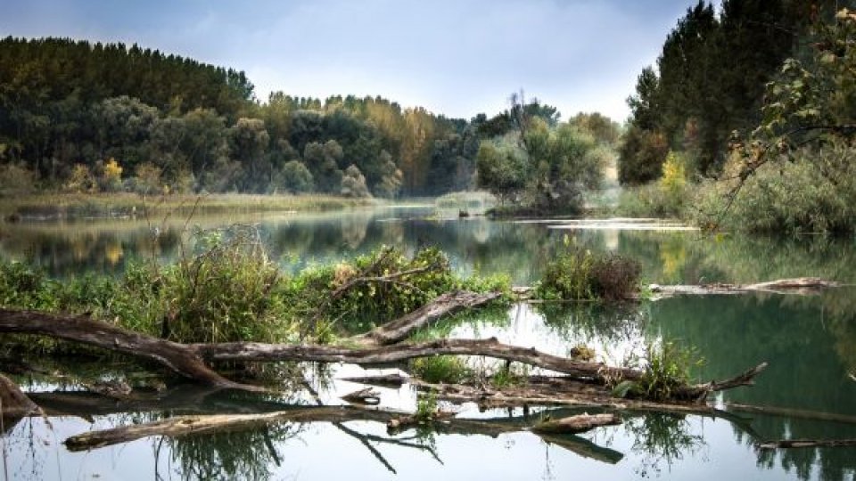 Cod portocaliu şi Cod galben de viituri pe râuri din sud-vestul ţării, până joi la prânz