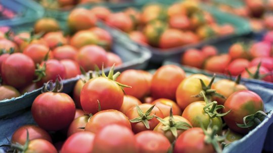 Paradoxurile în privința nesustenabilității în agricultură și sistemele alimentare