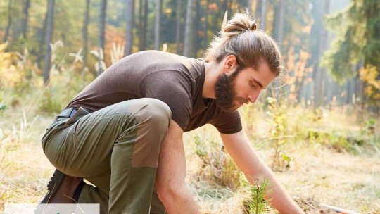 Plantarea de copaci, soluţia miraculoasă pentru combaterea schimbărilor climatice?