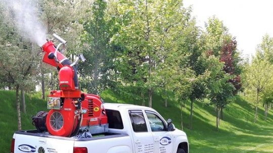 Tratamente împotriva țânțarilor, desfășurate în Timișoara