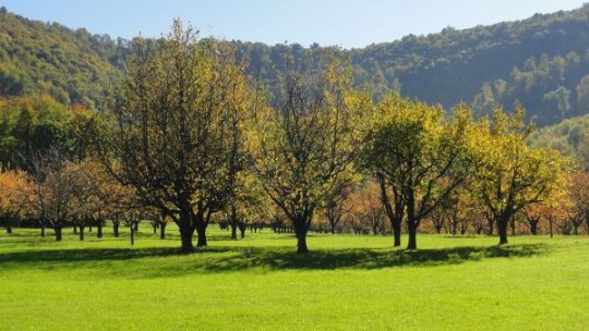România, printre statele UE cu cea mai mică suprafaţă agricolă cultivată în mod ecologic