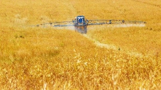 România se află în topul celor mai mari consumatori de îngrăşăminte cu fosfor din UE