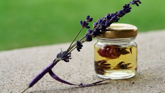 Centru de îngrijiri cu produse obţinute din Grădină Botanică a UMFST Târgu Mureş