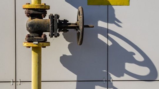 Terenurile pe care sunt conducte, instalaţii de transport a gazelor naturale sunt şi rămân în proprietatea statului