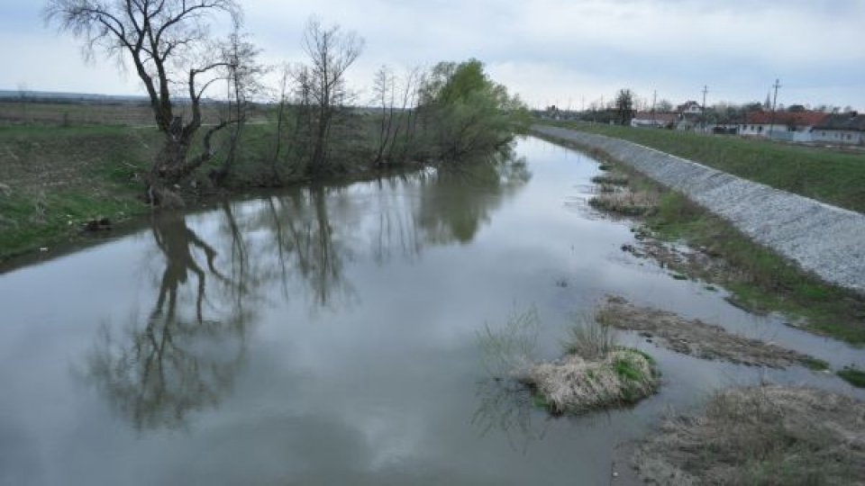 Coduri portocalii de inundaţii pentru râuri din judeţele Harghita, Bacău, Caraş-Severin şi Cluj, până la ora 24:00
