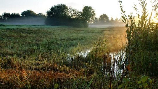Temperaturi mai ridicate decât cele normale în aproape toate regiunile ţării în următoarele săptămâni