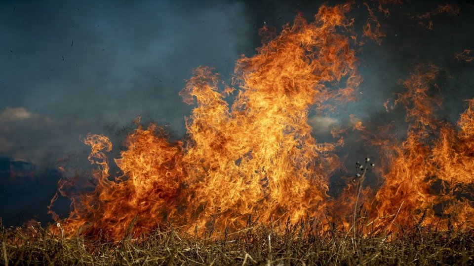 Zeci de hectare de cultură de porumb şi vegetaţie uscată a ars în zece incendii în judeţul Giurgiu
