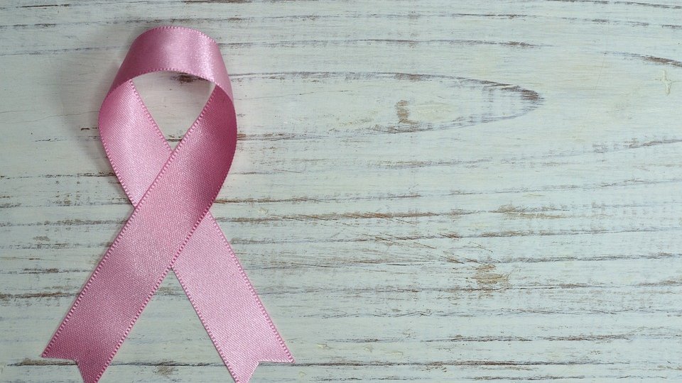 Microbiomul poate juca un rol în creșterea în greutate în timpul chimioterapiei pentru cancerul de sân