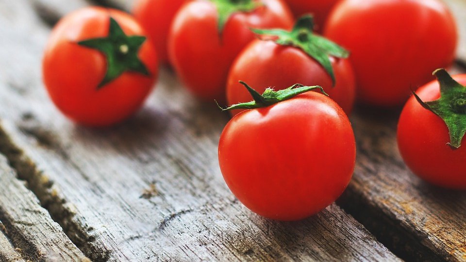 Cele două soluții „Maslov” în cultivarea tomatelor