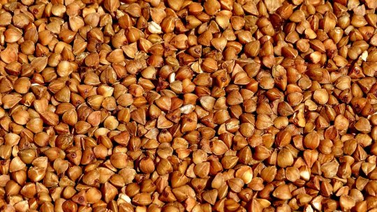 Hrișca - una dintre cele mai cultivate cereale în Europa medievală