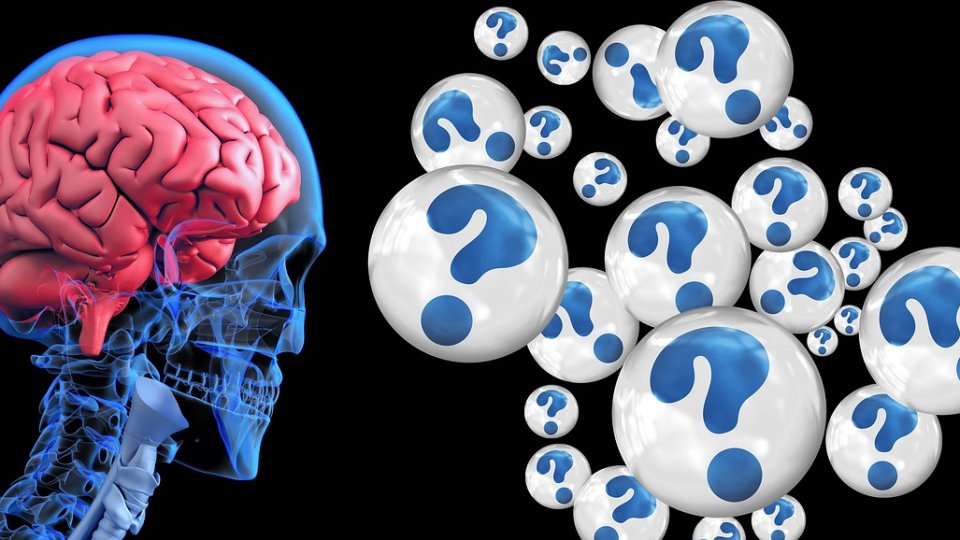 10 mituri despre creierul uman - ce este adevărat și ce nu?