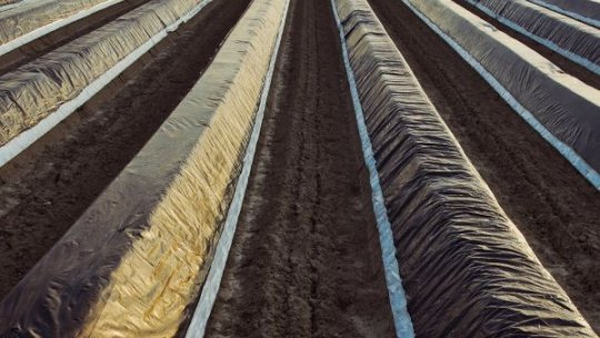 Firmele care activează în domeniul agriculturii se confruntă  cu provocări dificile