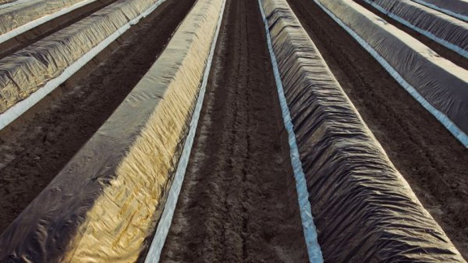 Firmele care activează în domeniul agriculturii se confruntă  cu provocări dificile