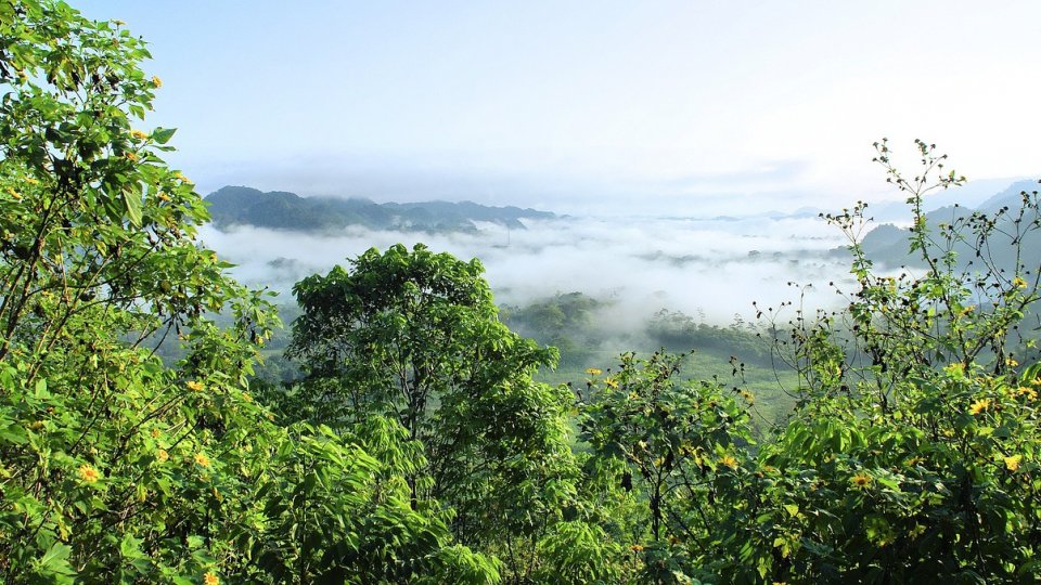 O imensă reţea de oraşe antice a fost descoperită în Amazonia