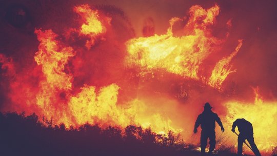 O suprafaţă de cinci hectare de vegetaţie a ars la Ghimpaţi