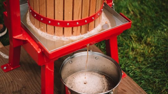 Cum se produce cidrul?