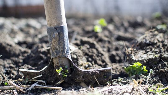 Fertilizarea solului în livezi