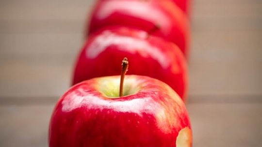 Păstrarea fructelor în stare proaspată I