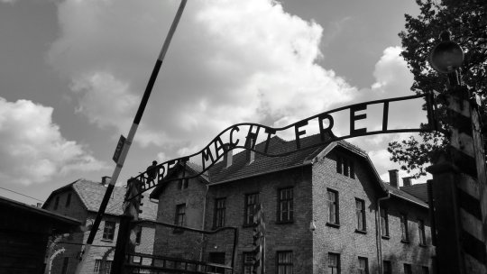 Ziua Internaţională de Comemorare a Victimelor Holocaustului, marcată în reprezentanţele ICR